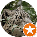 Madhur profile picture