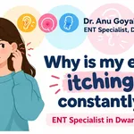 Why Is My Ear Itching Constantly? Common Causes and When to See an ENT Doctor